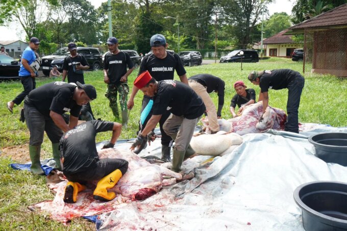 Pertamina Patra Niaga Regional Sumbagsel Salurkan 56 Sapi dan 29 Kambing pada Iduladha 1447 H – Detiktoday.com