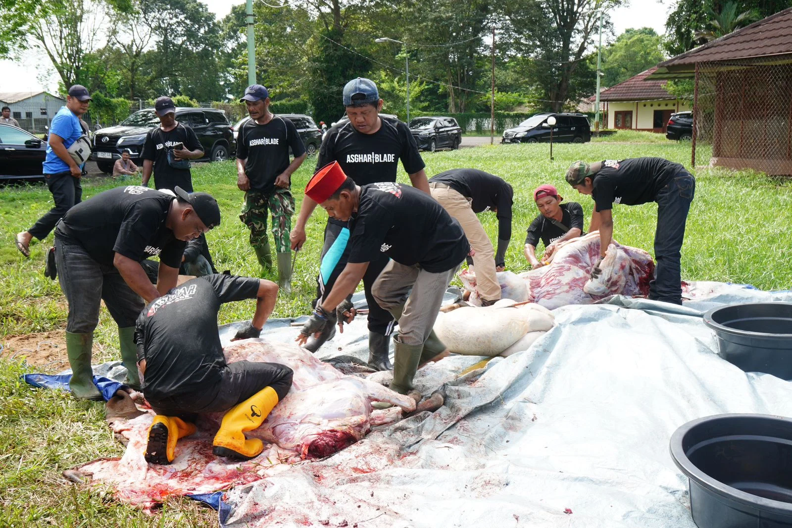 Pertamina Patra Niaga Regional Sumbagsel Salurkan 56 Sapi dan 29 Kambing pada Iduladha 1447 H – Detiktoday.com