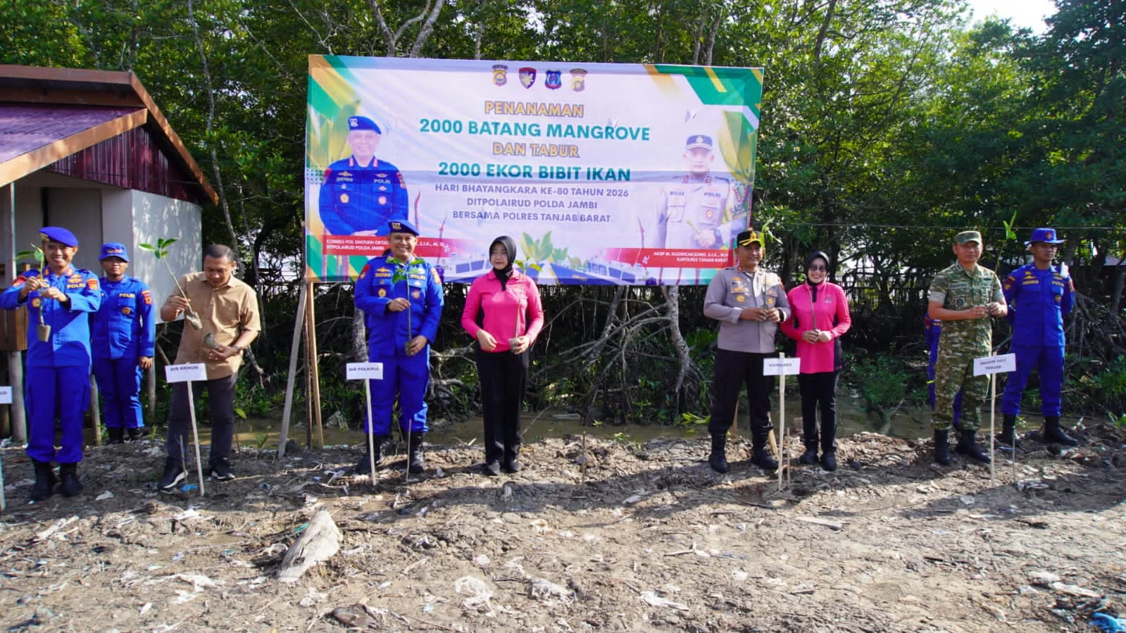 Sambut HUT Bhayangkara ke-80, Ditpolairud Polda Jambi Tanam 2.000 Mangrove dan Tebar Bibit Ikan – Detiktoday.com