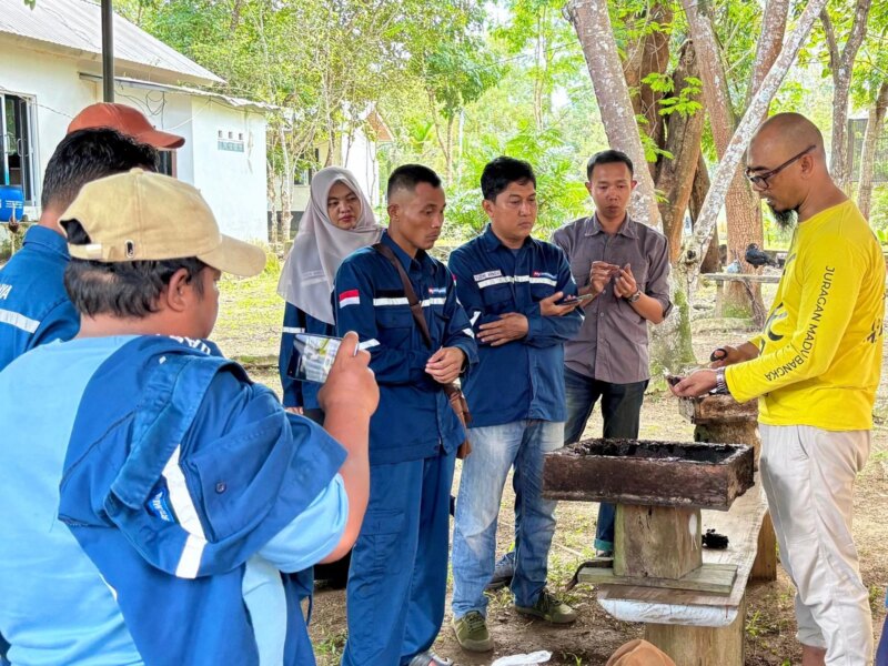 Lewat Budidaya Lebah Kelulut, Pertamina Patra Niaga Hadirkan Peluang Usaha Ramah Lingkungan – Detiktoday.com