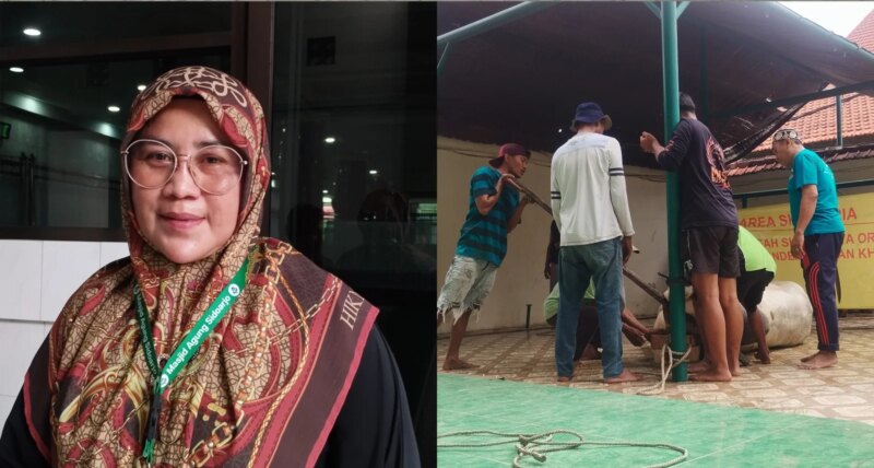 Sambut Idul Adha 1447 H, Masjid Agung Sidoarjo Bagikan Daging Kurban dari 9 Sapi Limousin dan 4 Kambing – Detiktoday.com