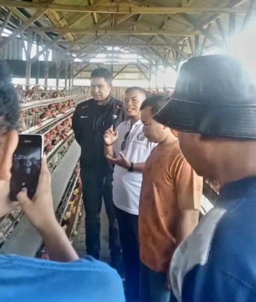 Dukung Ketahanan Pangan, Dandim 0624/Kab. Bandung Siap Investasi 1.000 Ayam Petelur di Peternakan Binaan Koperasi MBS Baros