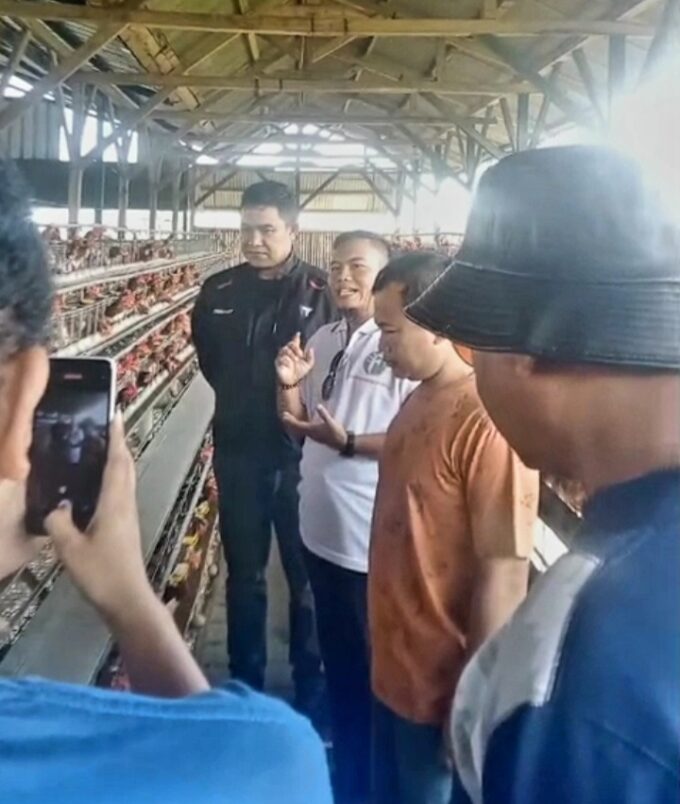 Dukung Ketahanan Pangan, Dandim 0624/Kab. Bandung Siap Investasi 1.000 Ayam Petelur di Peternakan Binaan Koperasi MBS Baros
