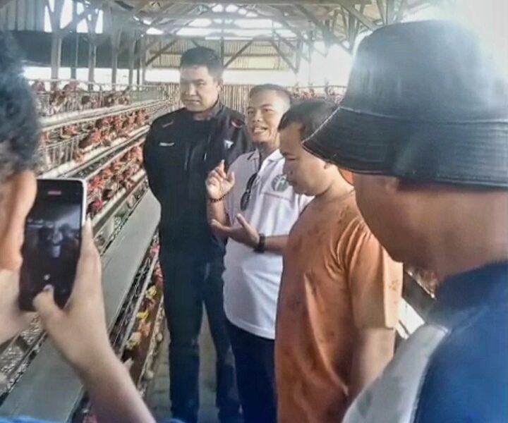 Dukung Ketahanan Pangan, Dandim 0624/Kab. Bandung Siap Investasi 1.000 Ayam Petelur di Peternakan Binaan Koperasi MBS Baros