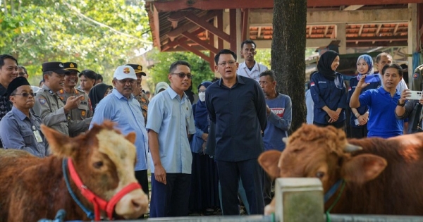 Danang Pastikan Stok Hewan Kurban Aman, Ajak Warga Gunakan Besek