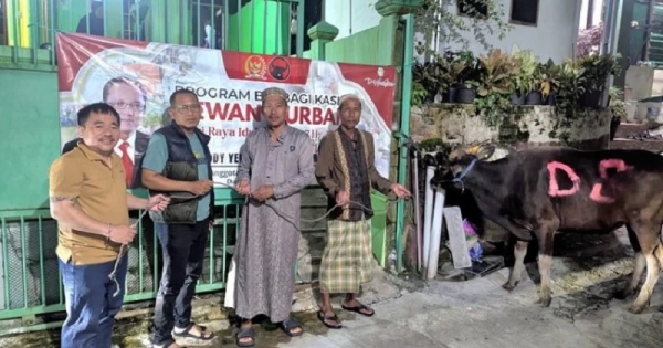 Idul Adha 1447 H, Deddy Sitorus Salurkan 14 Ekor Sapi Kurban Bagi Masyarakat Kalimantan Utara