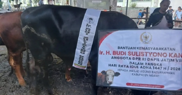 Idul Adha 1447 H, Kanang Salurkan Kurban 12 Sapi dan 109 Kambing Untuk Warga Dapil VII Jawa Timur