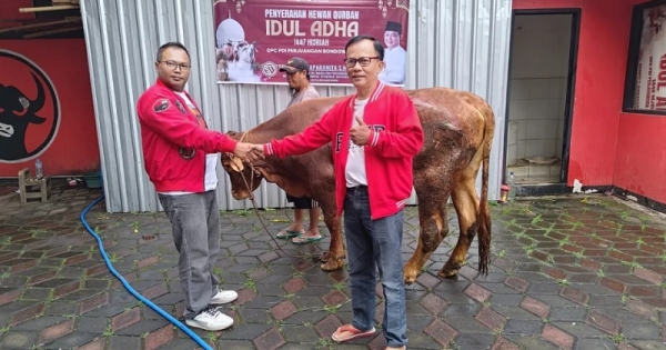 Idul Adha 1447 H, Sonny Danaparamita Salurkan Hewan Kurban Untuk Masyarakat Bondowoso