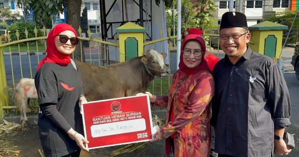 Iduladha 1447 H, DPC PDI Perjuangan Kota Malang Salurkan 2.500 Paket Daging Kurban