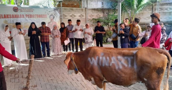 Iduladha 1447 H, DPD PDI Perjuangan Lampung Distribusikan Belasan Hewan Kurban di Tengah Tantangan Ekonomi