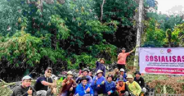 Perkuat Ketahanan Pangan, Adi Wiryatama Ajak Masyarakat Tanam Sukun Mentega