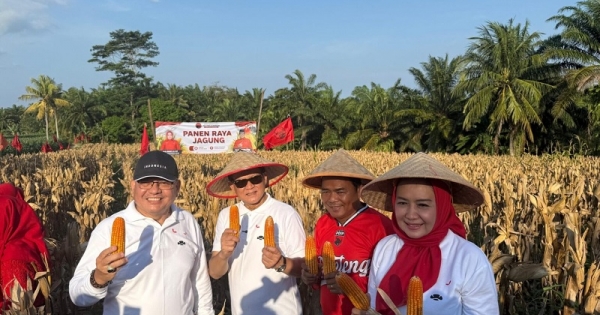 Prof. Rokhmin Dahuri Pimpin Panen Ikan dan Jagung di Palas, Perkuat Kedaulatan Pangan dari Desa