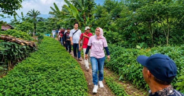 Kekuatan Pangan Dimulai dari Desa