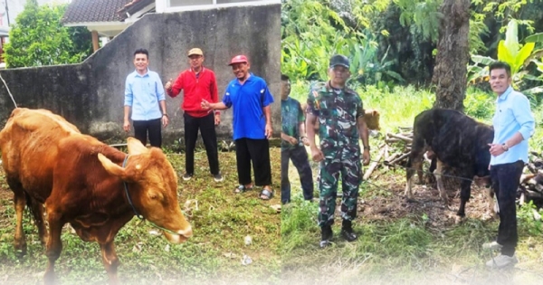 Sambut Idul Adha di Lampung, Sudin Serahkan Tiga Ekor Sapi Kurban