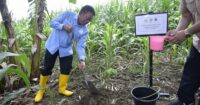 Sonny Dorong Pengembangan Tanaman Sukun Dalam Program Rehabilitasi Hutan dan Lahan