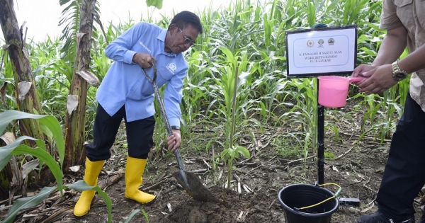 Sonny Dorong Pengembangan Tanaman Sukun Dalam Program Rehabilitasi Hutan dan Lahan