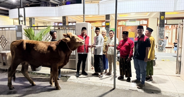 Zaini Serahkan Sapi Kurban DPC PDI Perjuangan ke Masjid Nurul Huda Pakijangan