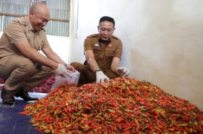 Harga Cabai Melonjak, Wali Kota Malang Aktifkan Kembali Warung Tekan Inflasi – Detiktoday.com