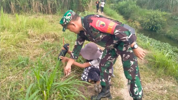 Babinsa Plosokandang Dampingi Penanaman 500 Pohon, Peringati Hari Lingkungan Hidup Sedunia 2026