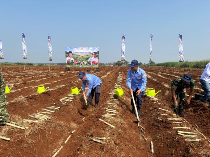 PPAL Ambil Bagian Dalam Gerakan Tanam Tebu Serentak Nasional di Subang