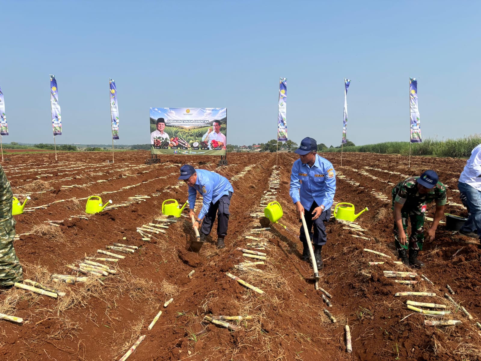 PPAL Ambil Bagian Dalam Gerakan Tanam Tebu Serentak Nasional di Subang
