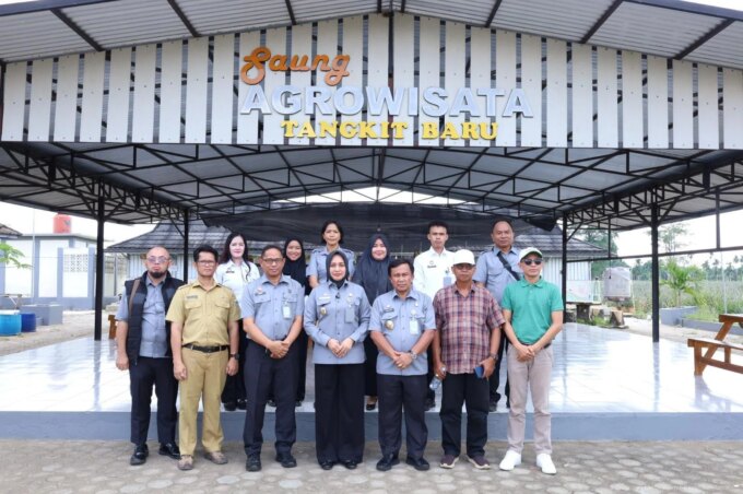 Kanwil Kemenkum Jambi Awasi Indikasi Geografis Nanas Tangkit, Dorong Desa Tangkit Baru Jadi Destinasi IG Tourism – Detiktoday.com