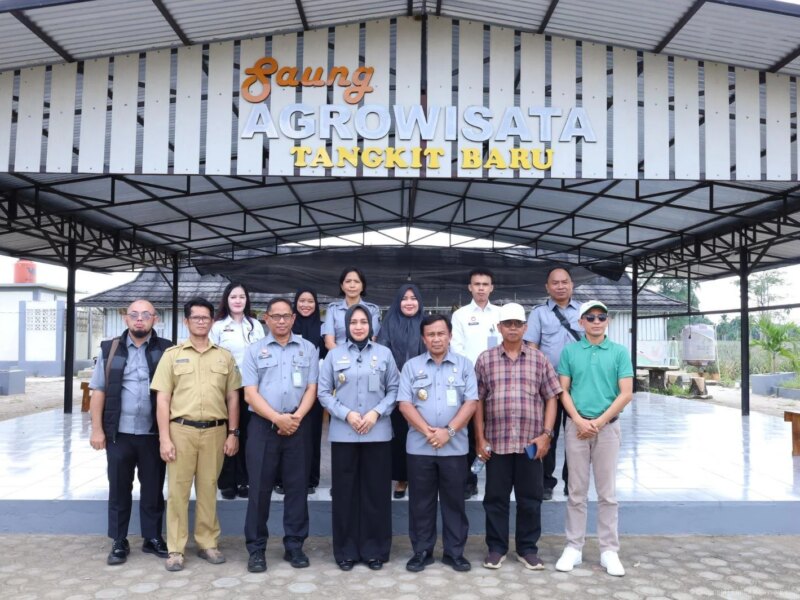 Kanwil Kemenkum Jambi Awasi Indikasi Geografis Nanas Tangkit, Dorong Desa Tangkit Baru Jadi Destinasi IG Tourism – Detiktoday.com