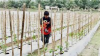 Perjuangan Rozzaq Jadi Kisah Inspiratif di Tengah Penyintas Banjir Sumatera – Detiktoday.com