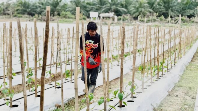 Perjuangan Rozzaq Jadi Kisah Inspiratif di Tengah Penyintas Banjir Sumatera – Detiktoday.com