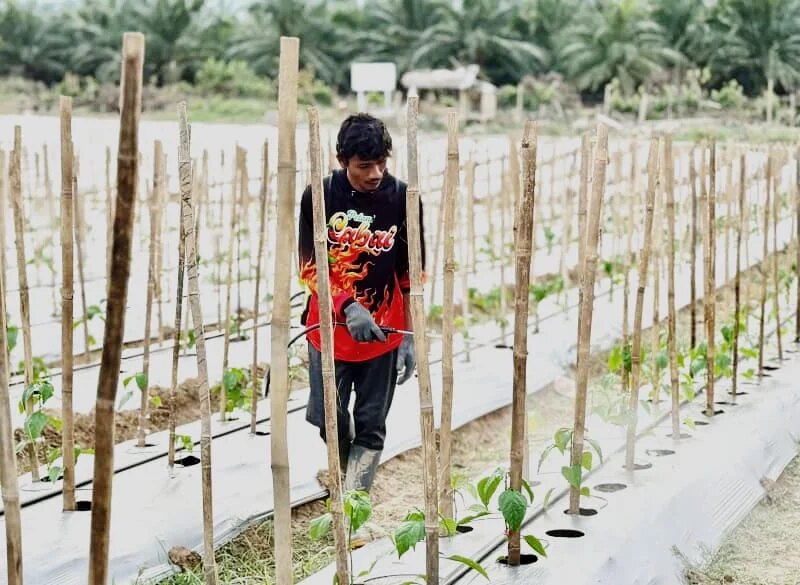 Perjuangan Rozzaq Jadi Kisah Inspiratif di Tengah Penyintas Banjir Sumatera – Detiktoday.com