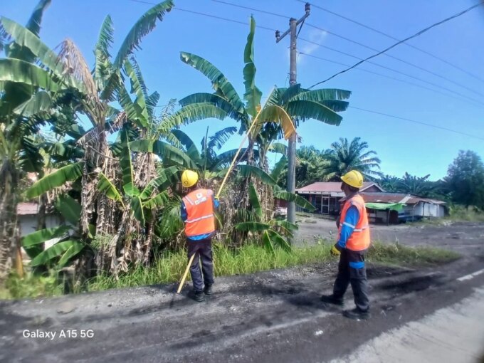 Hadapi Cuaca Ekstrem, PLN UP3 Bengkulu Perkuat Keandalan Jaringan Listrik Melalui Pemeliharaan Vegetasi – Detiktoday.com