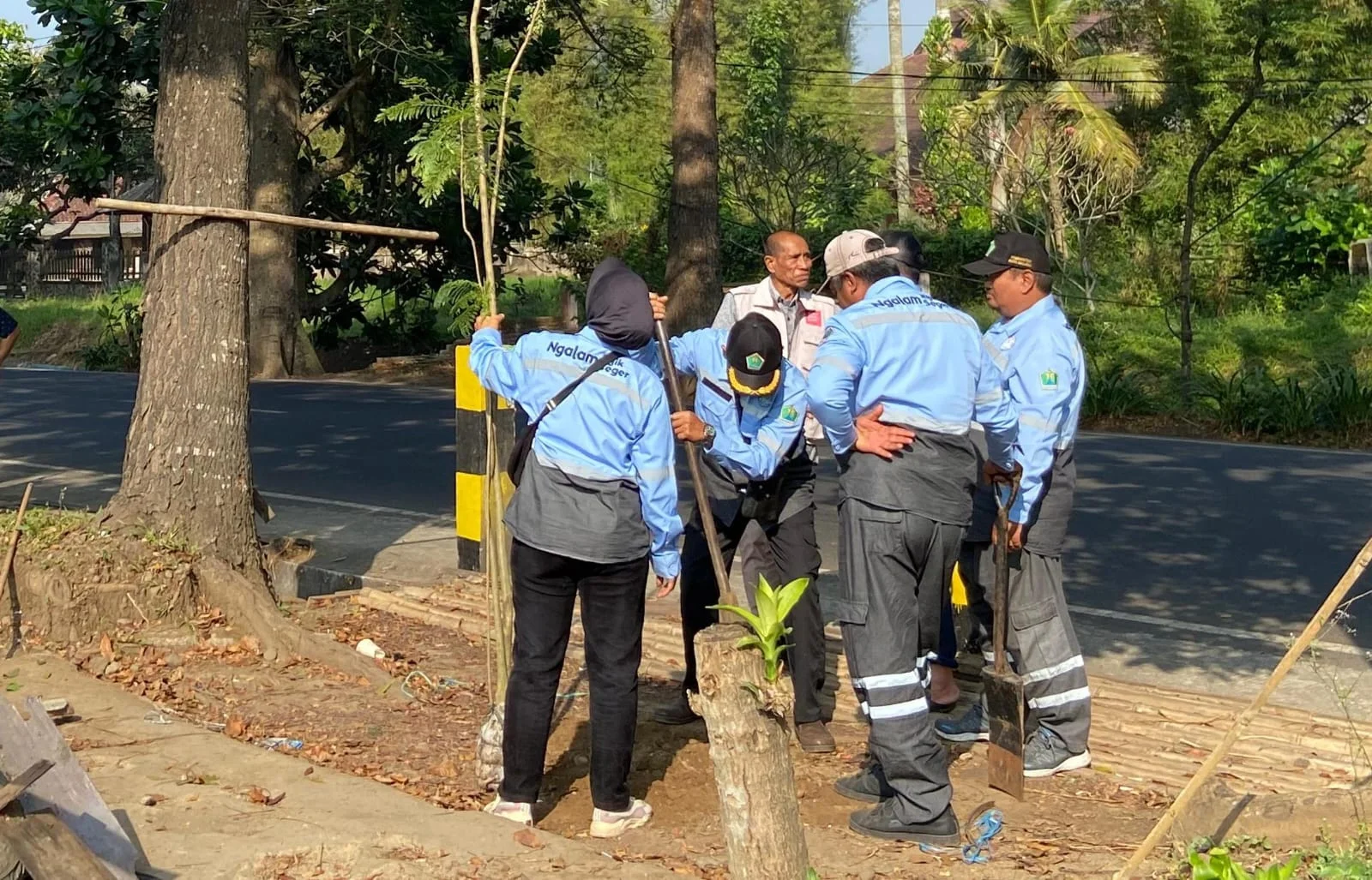 DLH Kota Malang Pulihkan Penghijauan RTH Dengan Penanaman 100 Bibit Pohon – Detiktoday.com