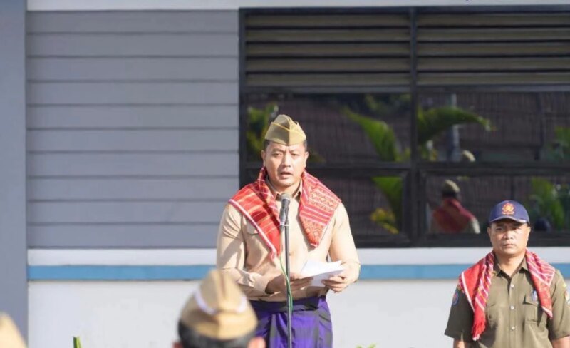 Pemkab Karo Peringati HARGANAS ke-33, Tekankan Peran Ayah dalam Membangun Generasi Unggul – Detiktoday.com