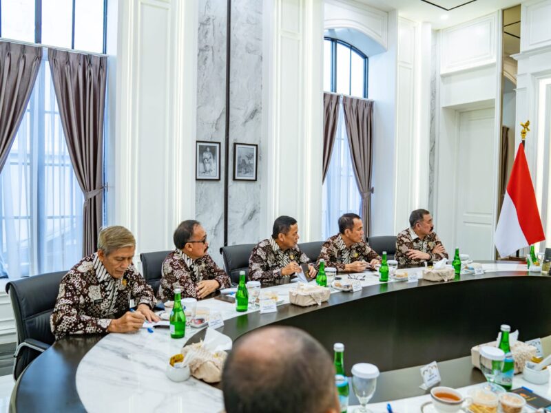 Panglima TNI Terima Audiensi Pengurus Pusat PPAD