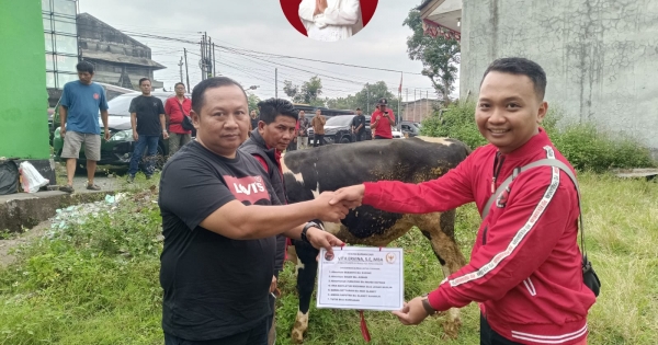 Anggota DPR RI Vita Ervina Salurkan Sapi dan Kambing Kurban di Magelang