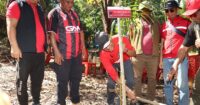Jaga Ketahanan Pangan Lokal, DPD PDI Perjuangan Papua Tanam Sagu di Jayapura