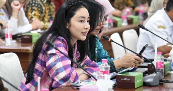 Keterwakilan Perempuan 30 Persen Syarat Mutlak, Kemenangan Demokrasi Inklusif