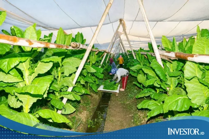 Skema Kemitraan Lahan di Jember Diproyeksikan Jadi Percontohan Nasional