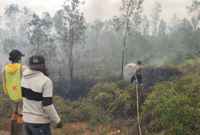 Polsek Bomberay Bergerak Cepat Padamkan Karhutla di Kampung Mekarsari Bomberay – Detiktoday.com