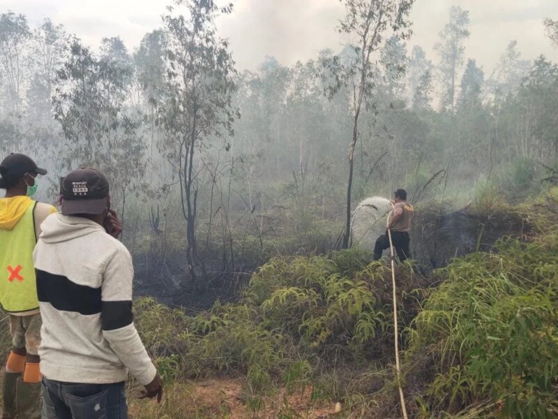 Polsek Bomberay Bergerak Cepat Padamkan Karhutla di Kampung Mekarsari Bomberay – Detiktoday.com