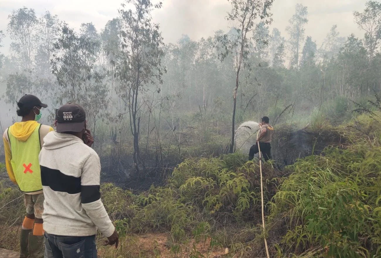 Polsek Bomberay Bergerak Cepat Padamkan Karhutla di Kampung Mekarsari Bomberay – Detiktoday.com