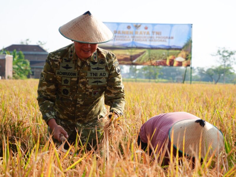 Pangdam IV/Diponegoro Dukung Panen Raya TNI, Perkuat Ketahanan Pangan Nasional