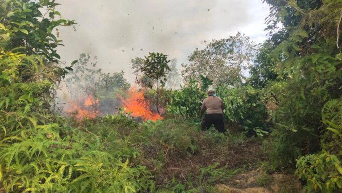 Sinergitas TNI Polri BPBD dan Warga Padamkan Karhutla di Kampung Mekarsari SP4 Bomberay – Detiktoday.com