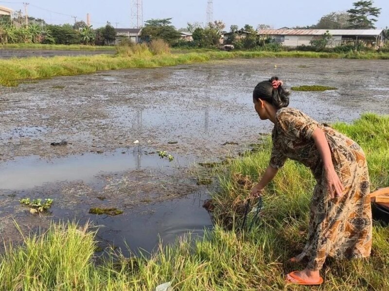 Warga Batutumpang Terpaksa Gunakan Air Kubangan Keruh – Detiktoday.com