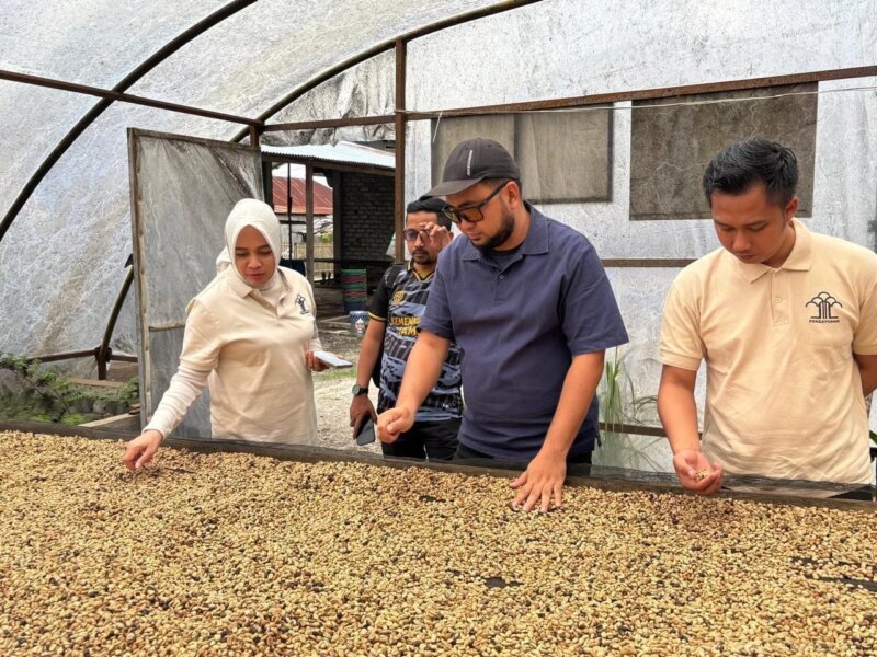 Kanwil Kemenkum Jambi Perkuat Pengawasan dan Branding Kopi Arabika Sumatera Koerintji – Detiktoday.com