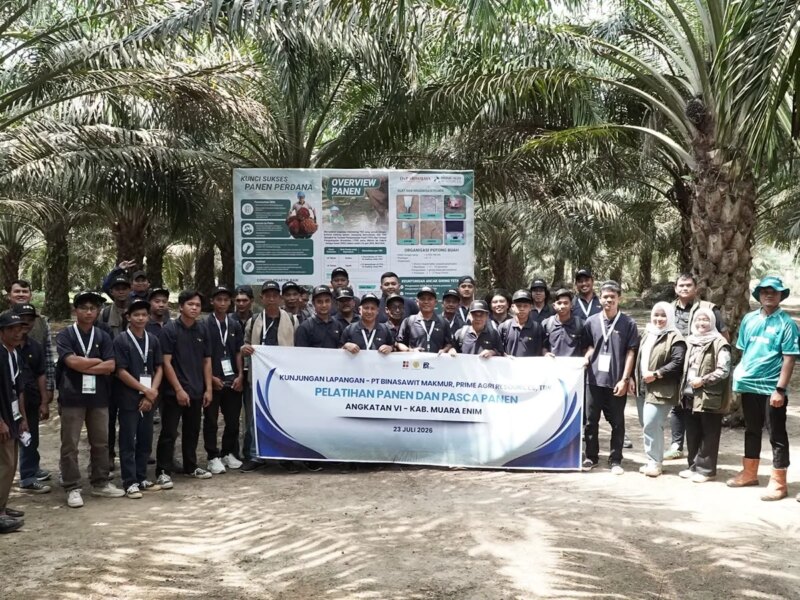 Panen Sesuai Standar Jadi Kunci Produktivitas, 133 Pekebun Sawit Muara Enim Ikut Pelatihan – Detiktoday.com