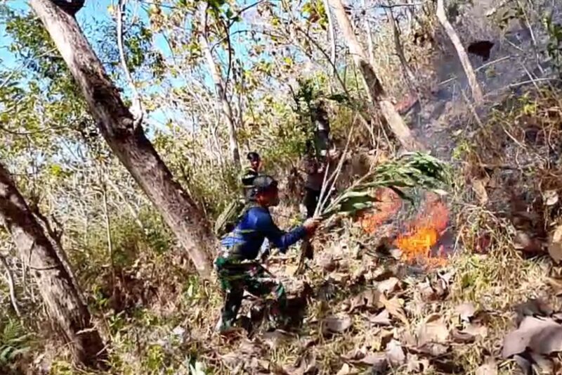 TNI-Polri dan BPBD Trenggalek, Berhasil Padamkan Kebakaran Hutan Jati di Gandusari