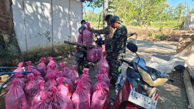 TAK CANGGUNG, ANGGOTA SATGAS TMMD KE-129 KODIM 0802/PONOROGO BANTU PANEN 'JANGKRIK'