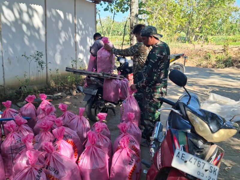 TAK CANGGUNG, ANGGOTA SATGAS TMMD KE-129 KODIM 0802/PONOROGO BANTU PANEN 'JANGKRIK'