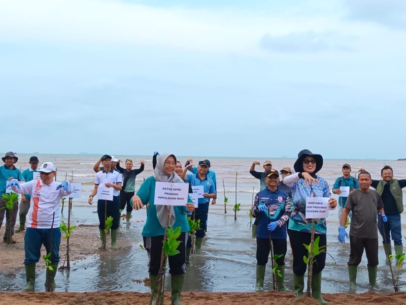 Danlanal Bintan Wakili Dankodaeral IV Hadiri Aksi Penanaman Mangrove Serentak Hari Mangrove Sedunia 2026